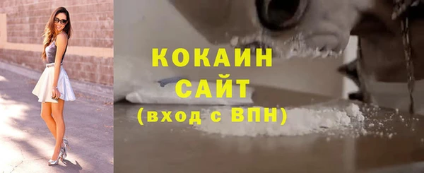 ECSTASY Богородицк