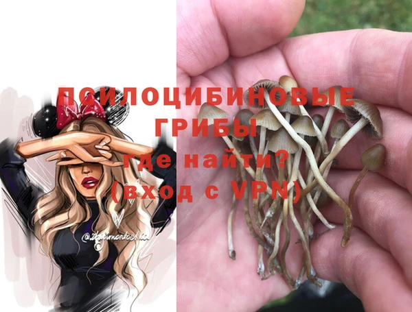 дурь Богородск