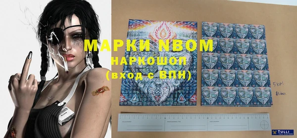 прущий лед Богданович