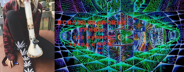 ECSTASY Богородицк