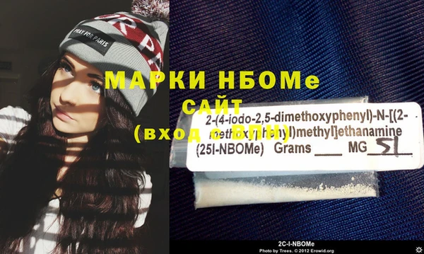ECSTASY Богородицк