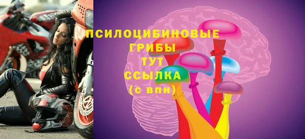 Альфа ПВП Беломорск