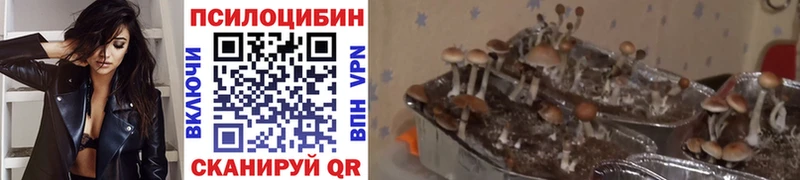 Псилоцибиновые грибы Magic Shrooms  Кизел 